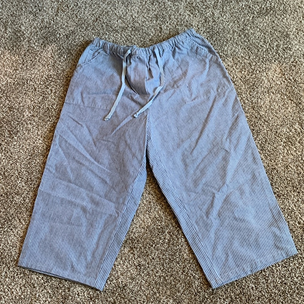 Mountain Lake, petites size medium, blue, striped Capri
